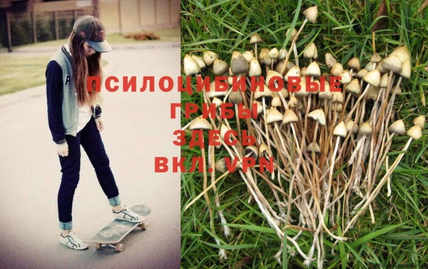 марки nbome Ладушкин