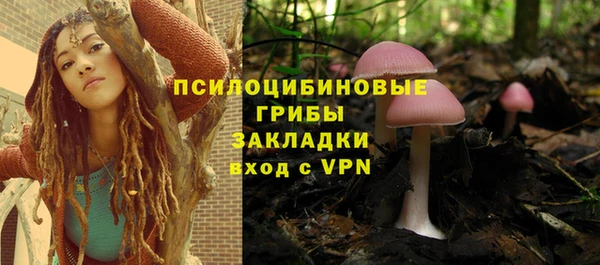 a pvp Лагань