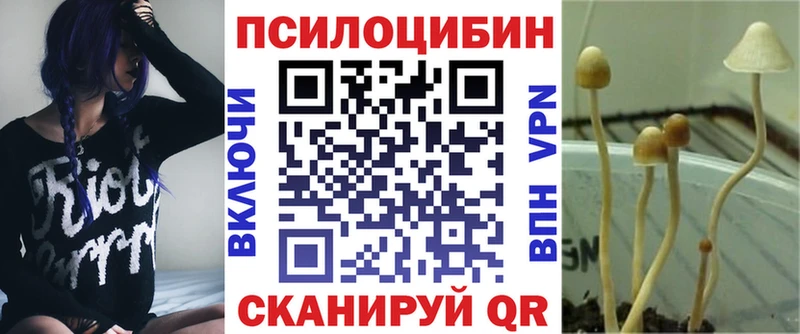 Псилоцибиновые грибы мухоморы  Новая Ляля 